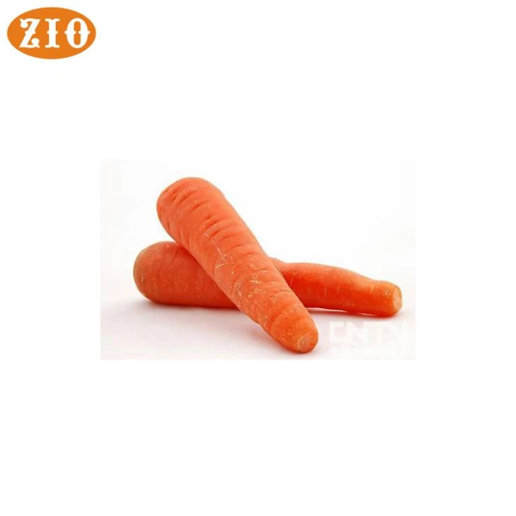 Beta carotene vitamin